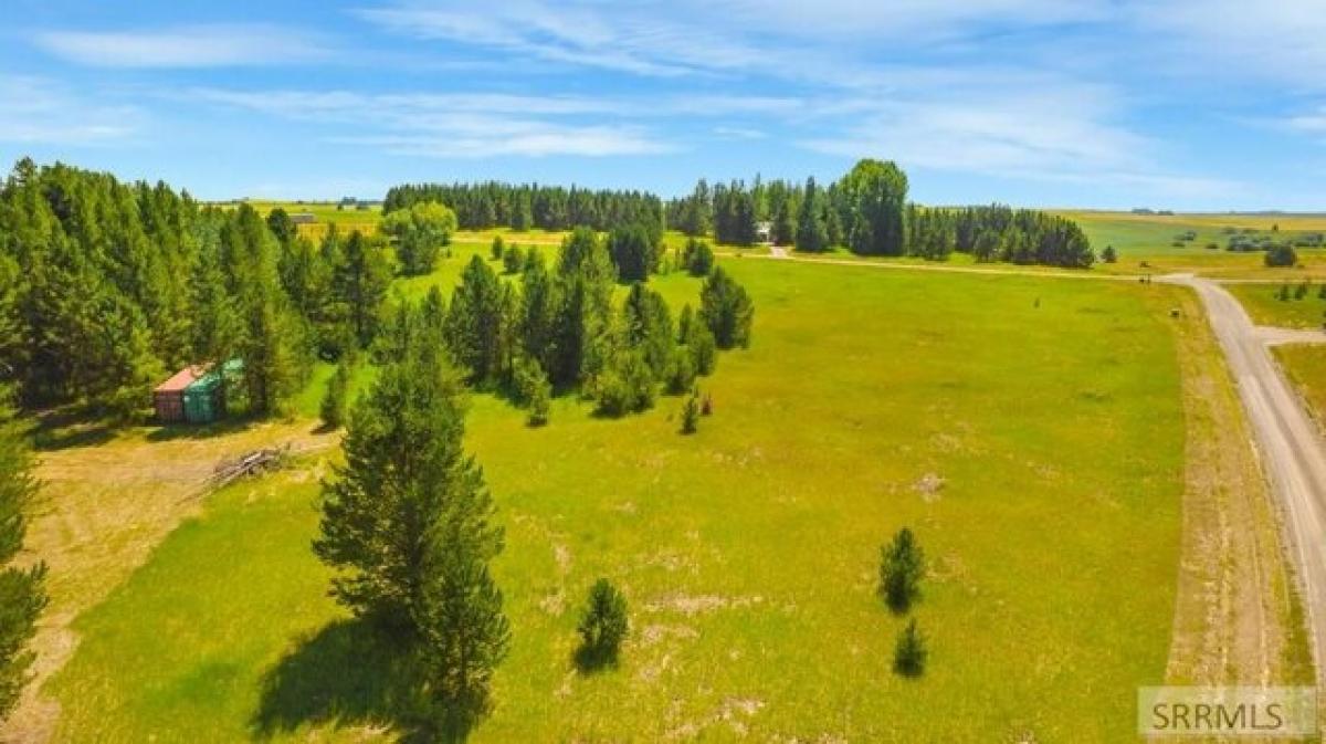 Picture of Residential Land For Sale in Ashton, Idaho, United States