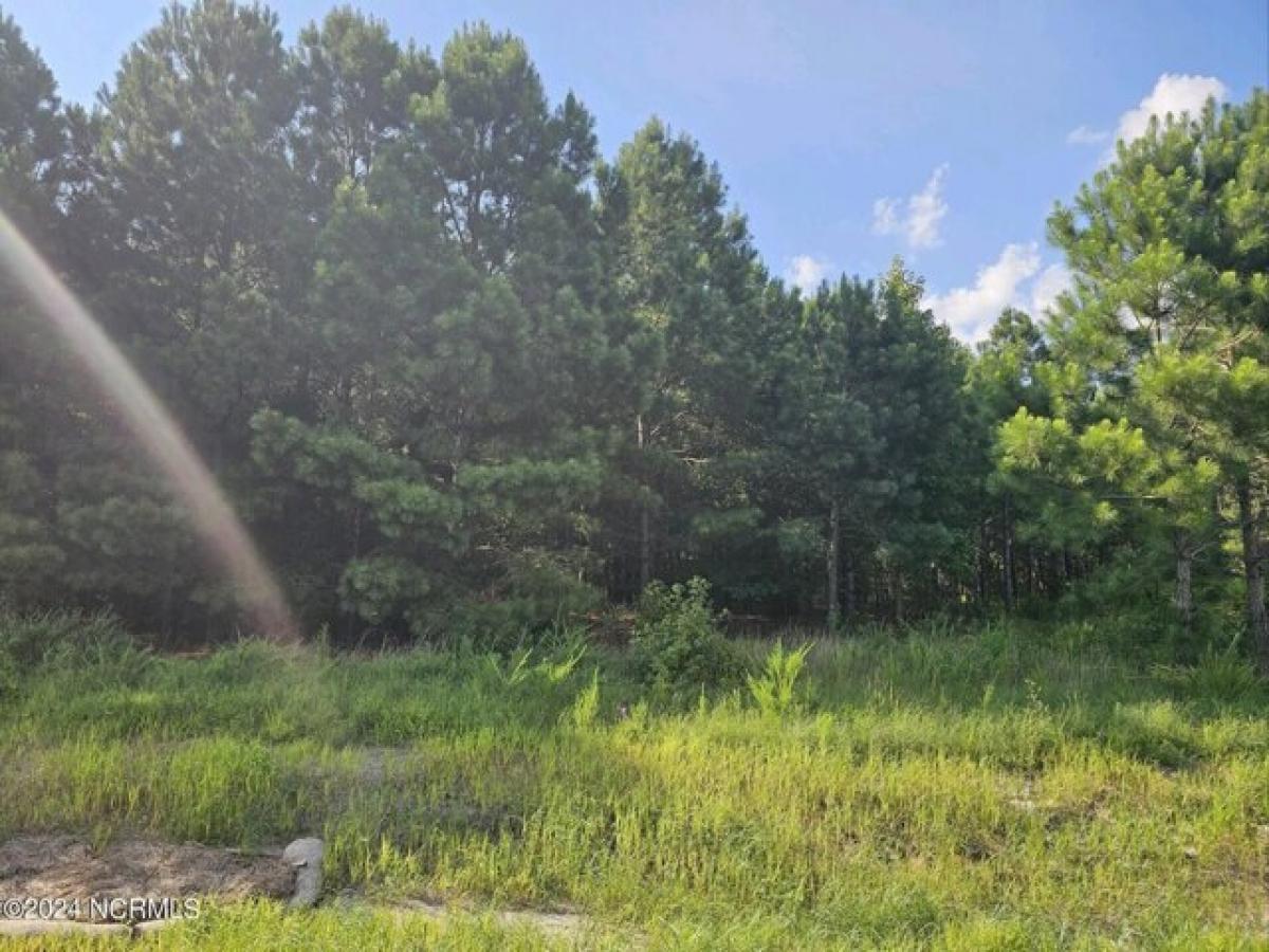 Picture of Residential Land For Sale in Vanceboro, North Carolina, United States