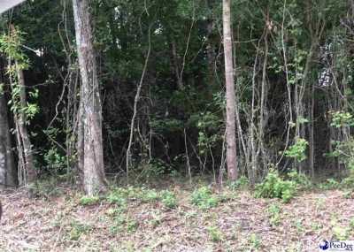 Residential Land For Sale in Florence, South Carolina