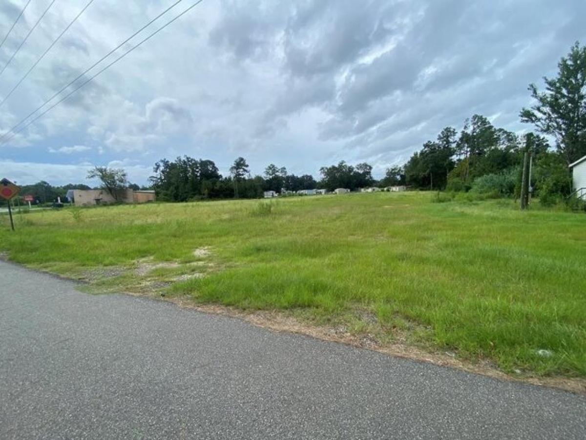 Picture of Residential Land For Sale in Colquitt, Georgia, United States