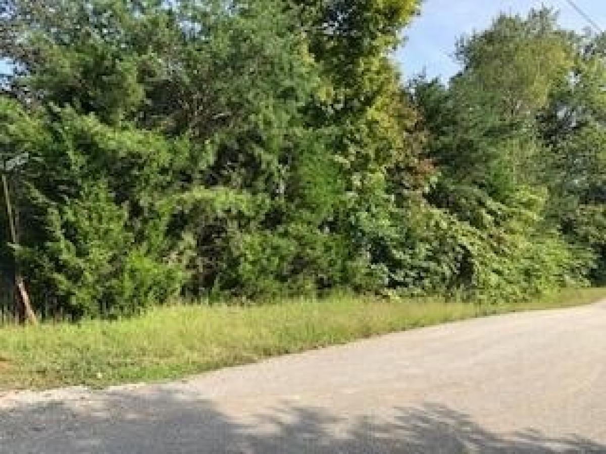 Picture of Residential Land For Sale in Monticello, Kentucky, United States