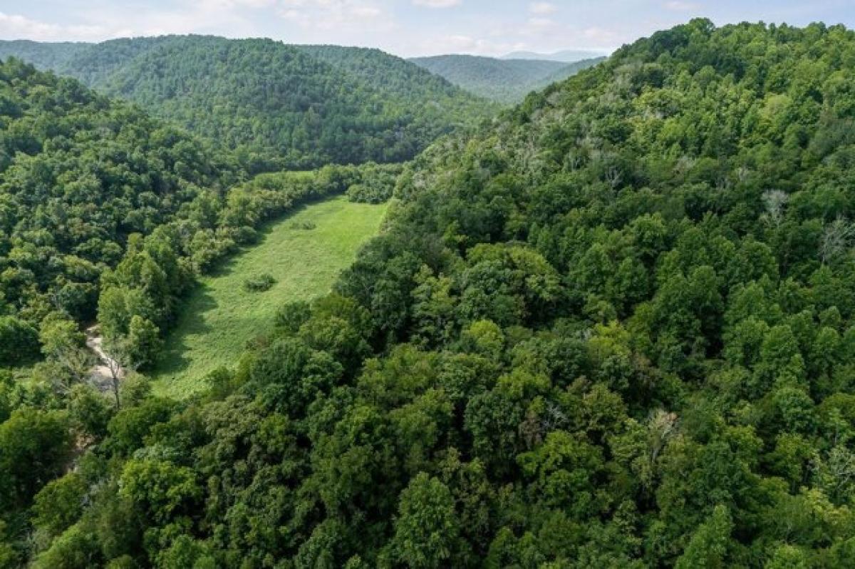 Picture of Residential Land For Sale in Dowelltown, Tennessee, United States