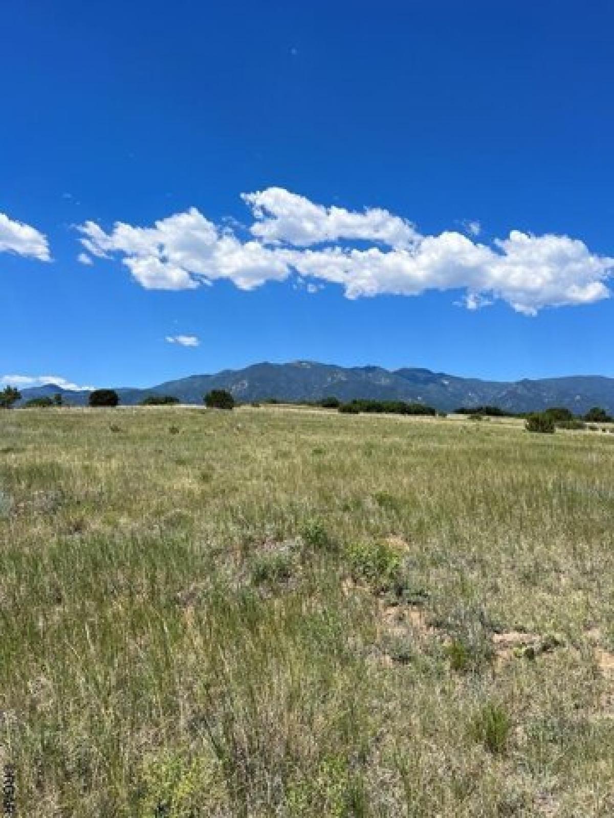 Picture of Residential Land For Rent in Colorado City, Colorado, United States