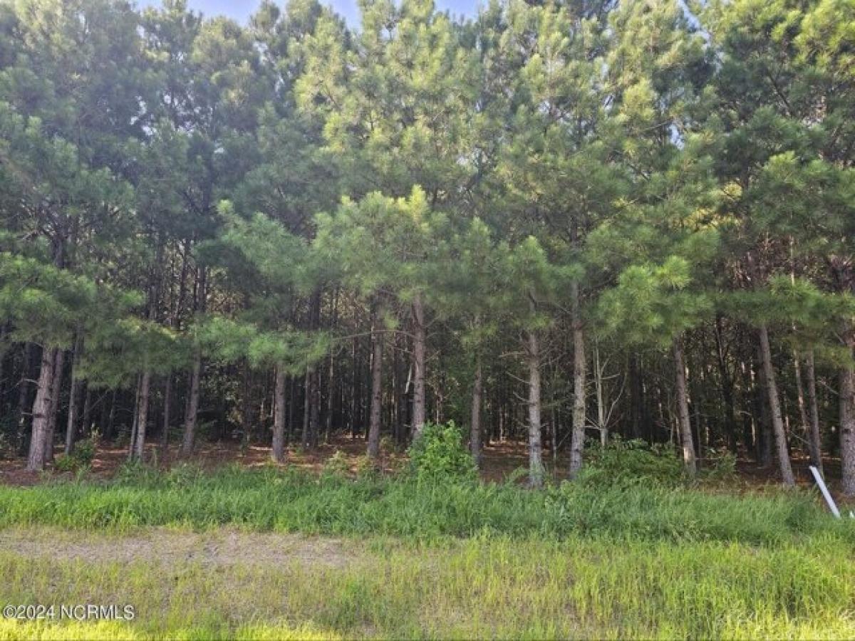 Picture of Residential Land For Sale in Vanceboro, North Carolina, United States