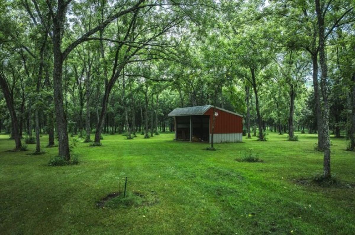 Picture of Residential Land For Sale in Newburg, Missouri, United States