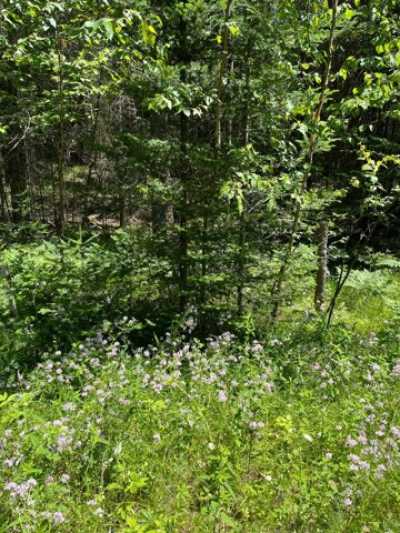 Residential Land For Sale in Lakewood, Wisconsin