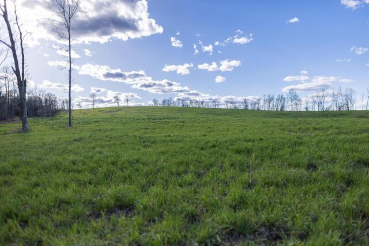 Picture of Residential Land For Sale in Eminence, Missouri, United States