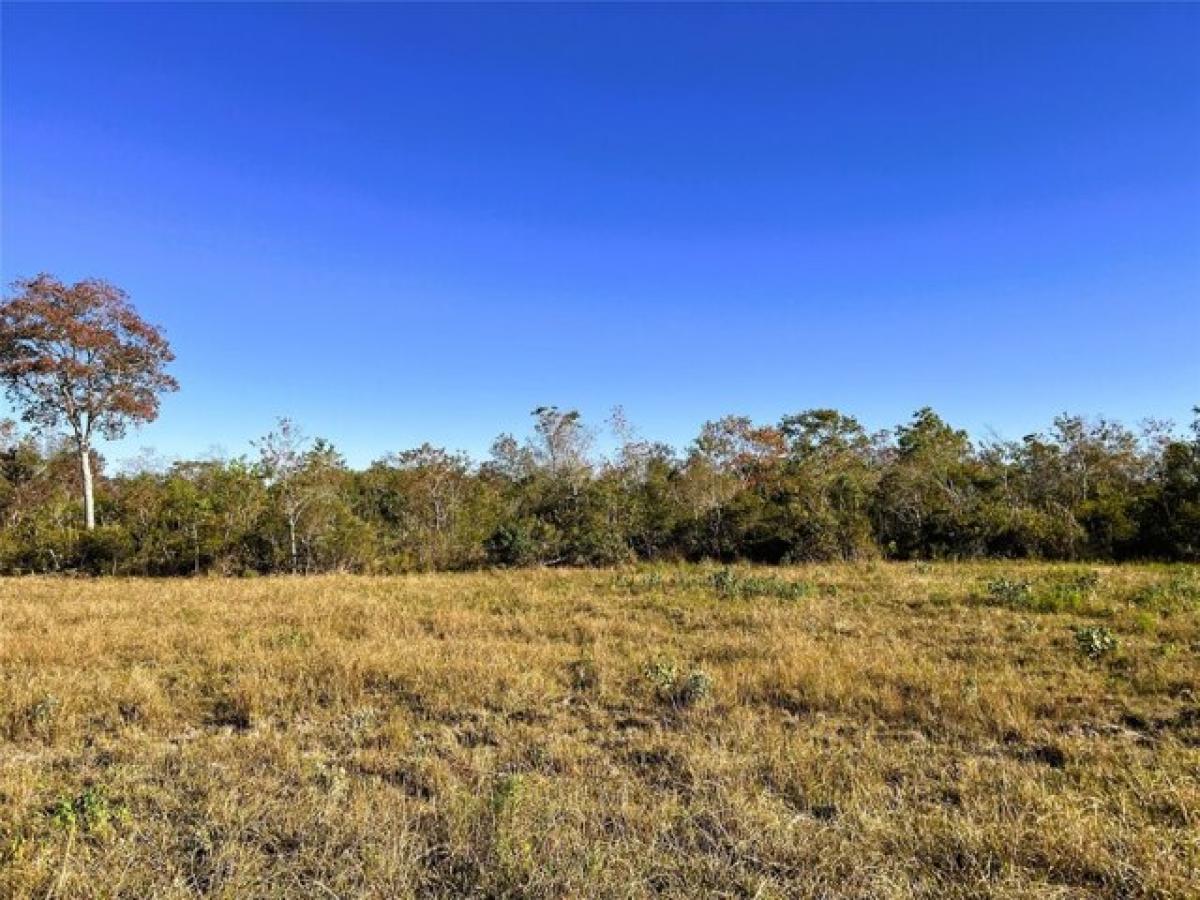 Picture of Residential Land For Sale in Anahuac, Texas, United States