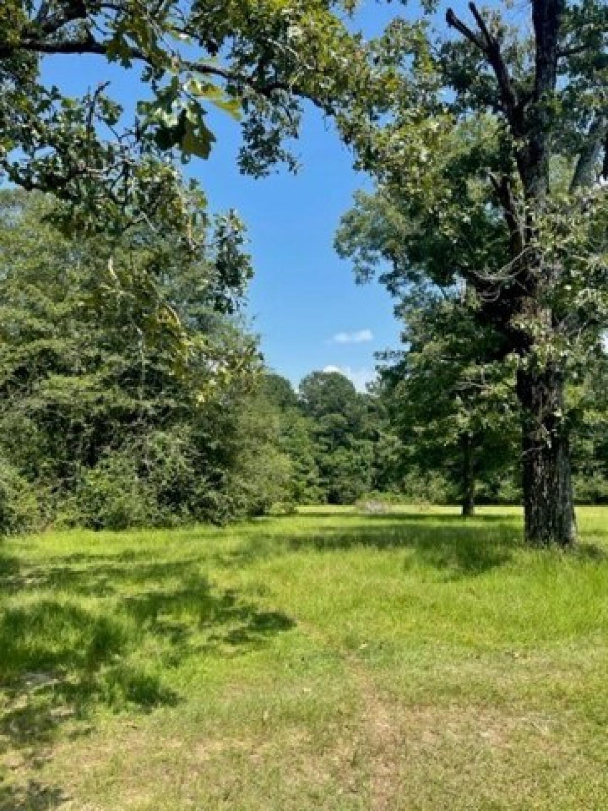 Picture of Home For Sale in Tylertown, Mississippi, United States