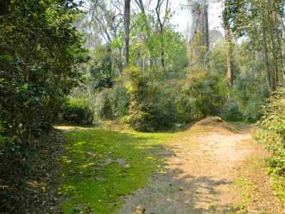 Residential Land For Sale in Quincy, Florida