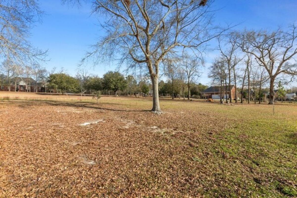 Picture of Residential Land For Sale in Ashford, Alabama, United States