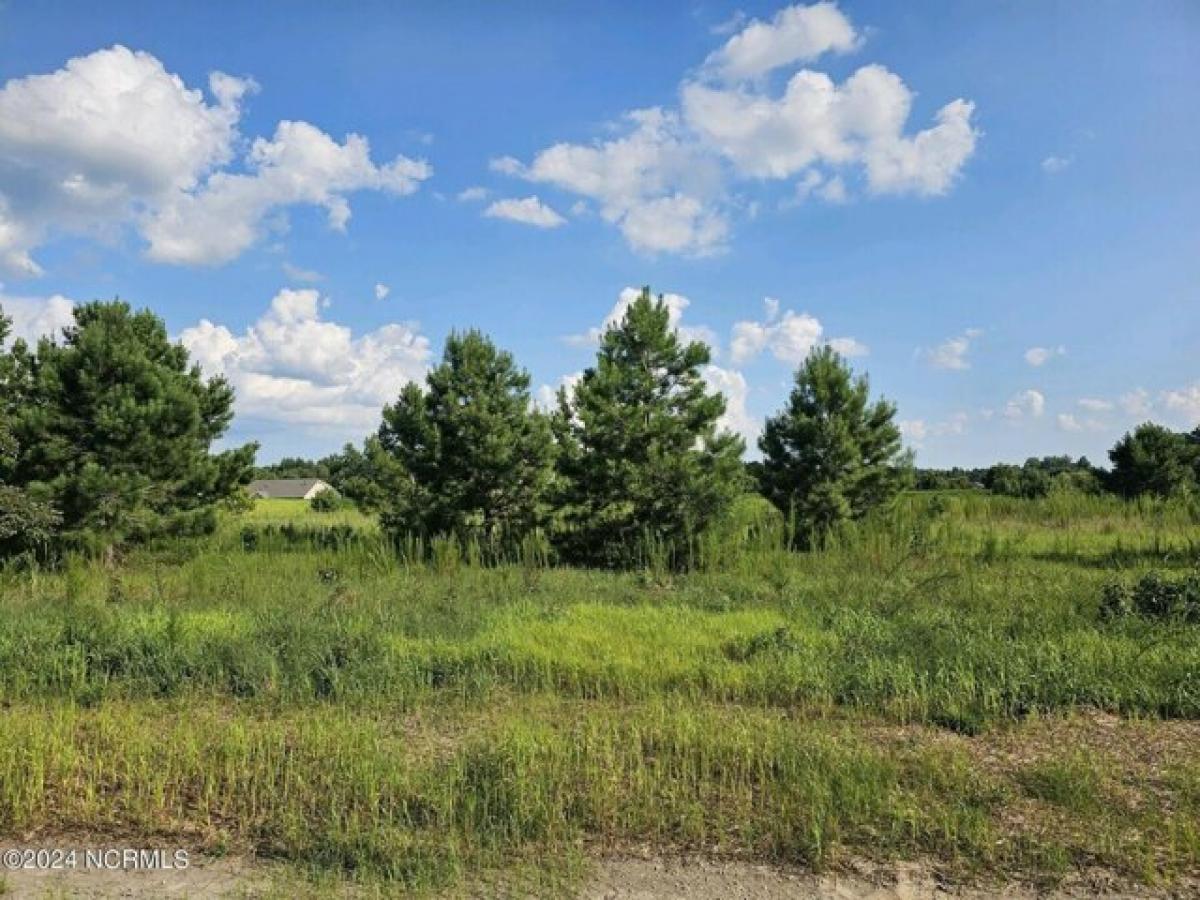 Picture of Residential Land For Sale in Vanceboro, North Carolina, United States