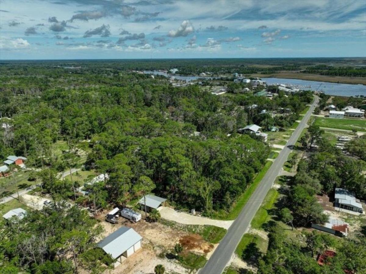 Picture of Residential Land For Sale in Steinhatchee, Florida, United States