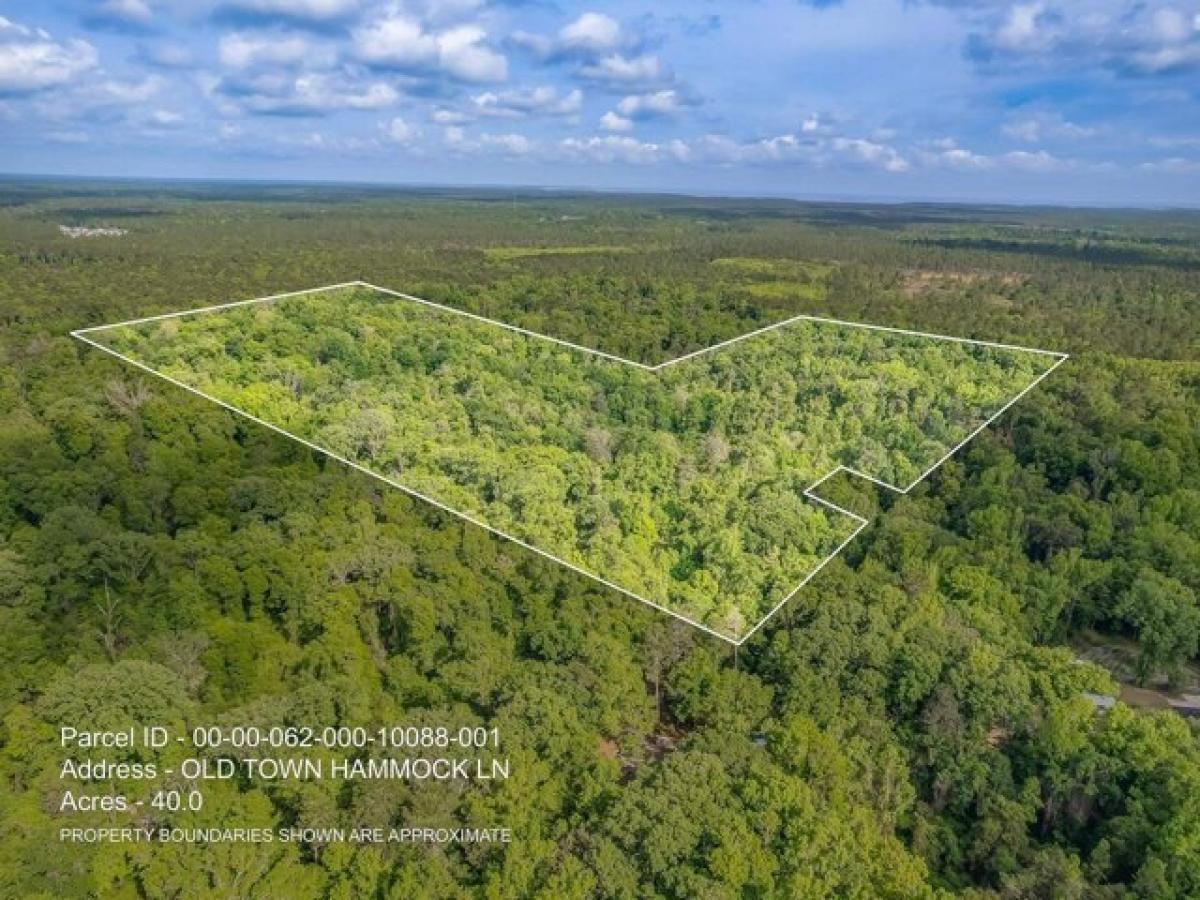 Picture of Residential Land For Sale in Crawfordville, Florida, United States