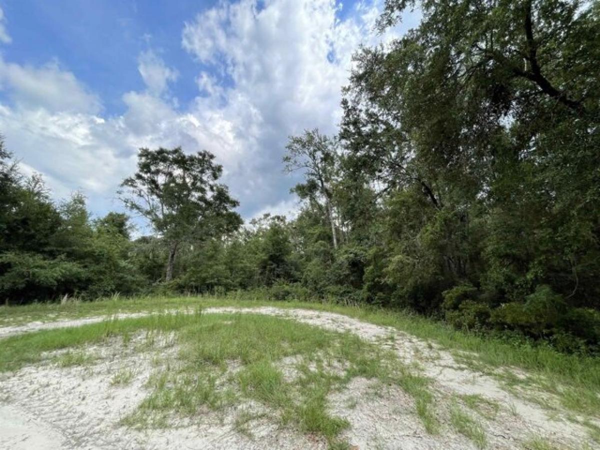 Picture of Residential Land For Sale in Madison, Florida, United States