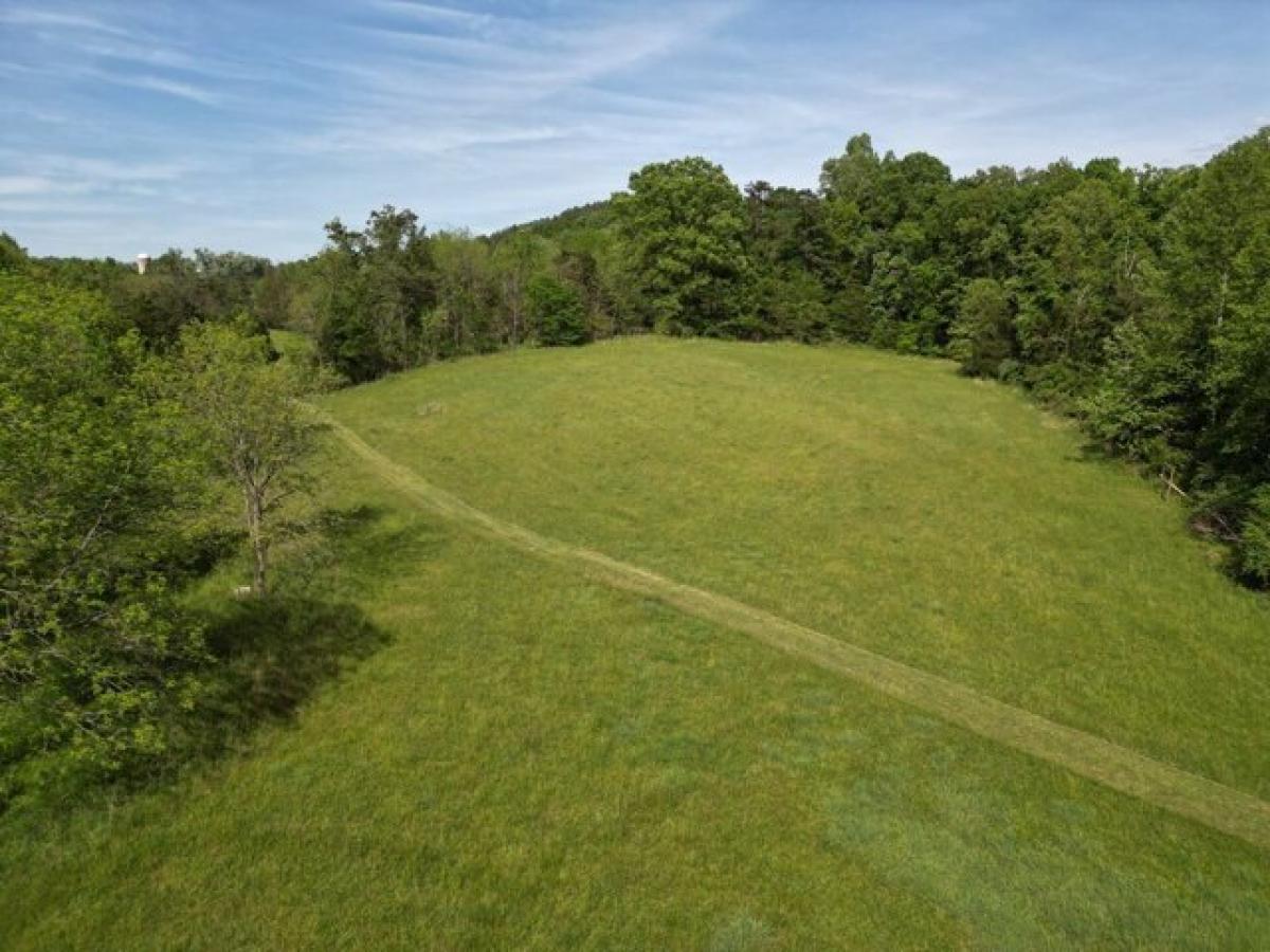 Picture of Residential Land For Sale in Esmont, Virginia, United States