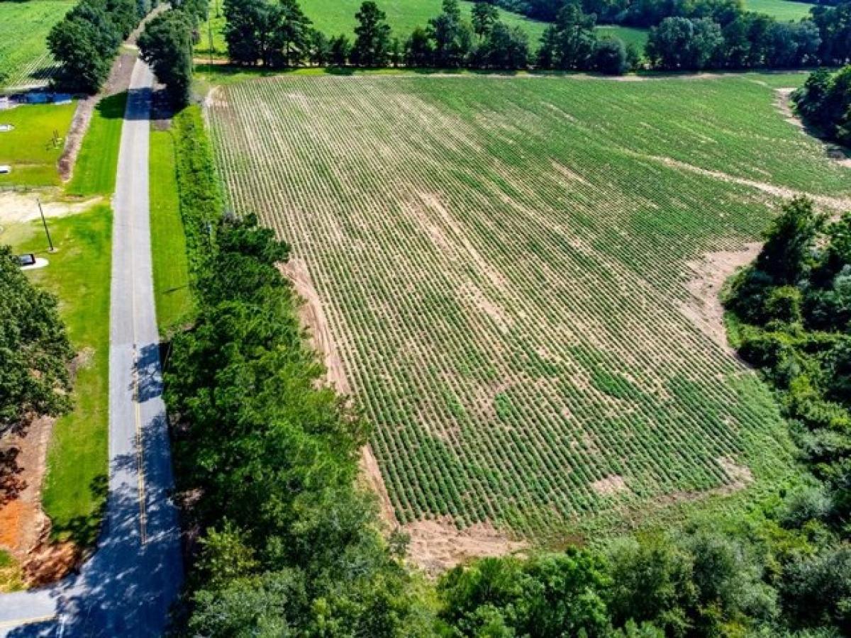 Picture of Residential Land For Sale in Ashford, Alabama, United States