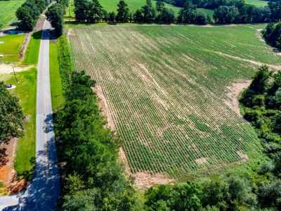 Residential Land For Sale in Ashford, Alabama