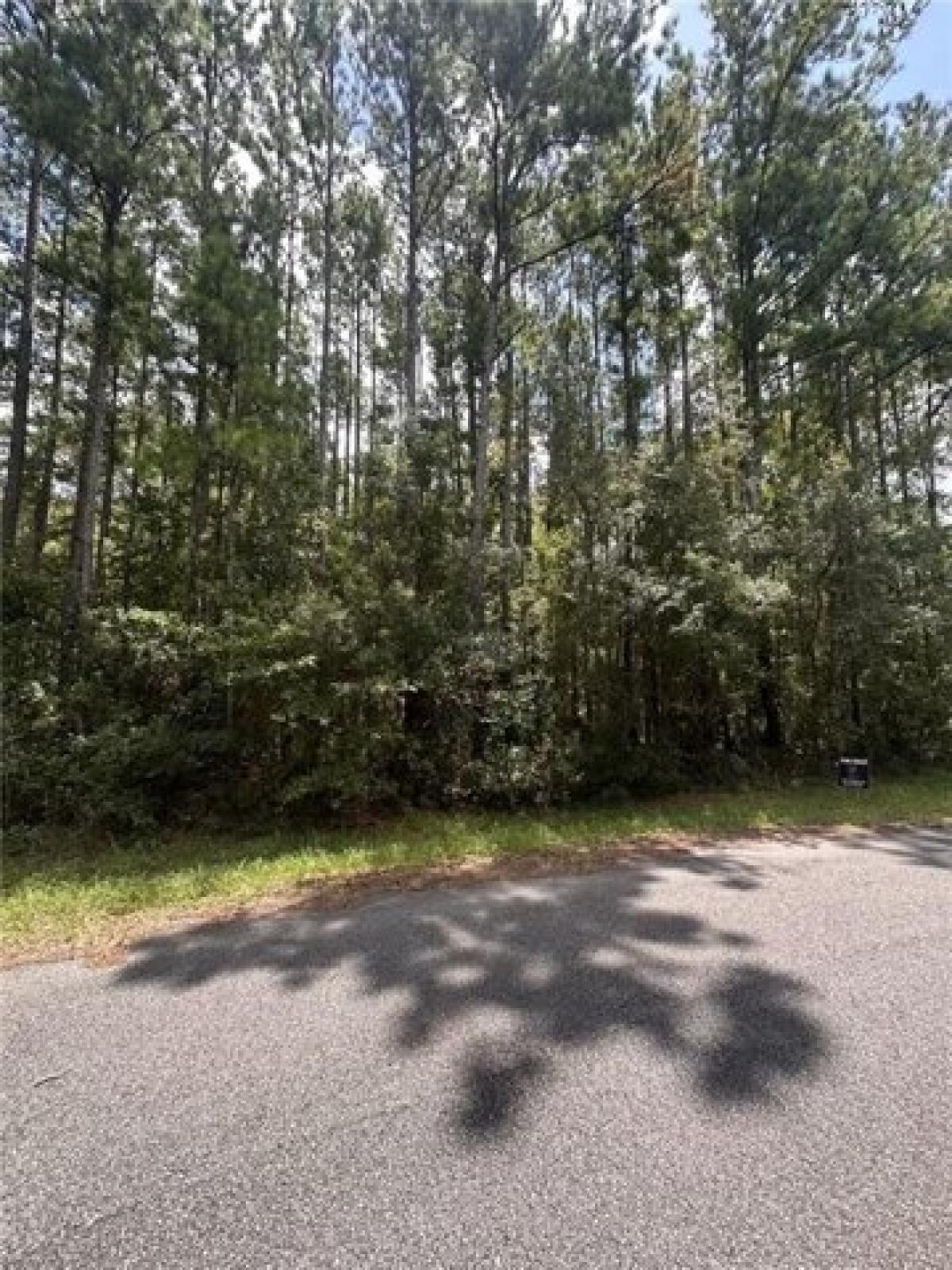 Picture of Residential Land For Sale in Townsend, Georgia, United States