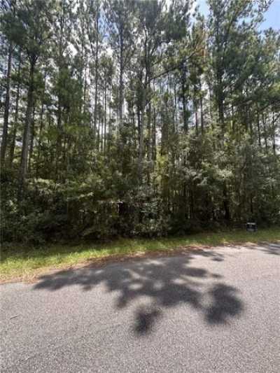 Residential Land For Sale in Townsend, Georgia