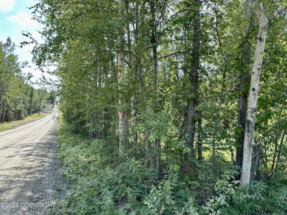 Picture of Residential Land For Sale in Sterling, Alaska, United States