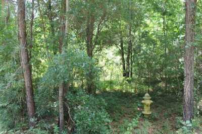 Residential Land For Sale in Havana, Florida