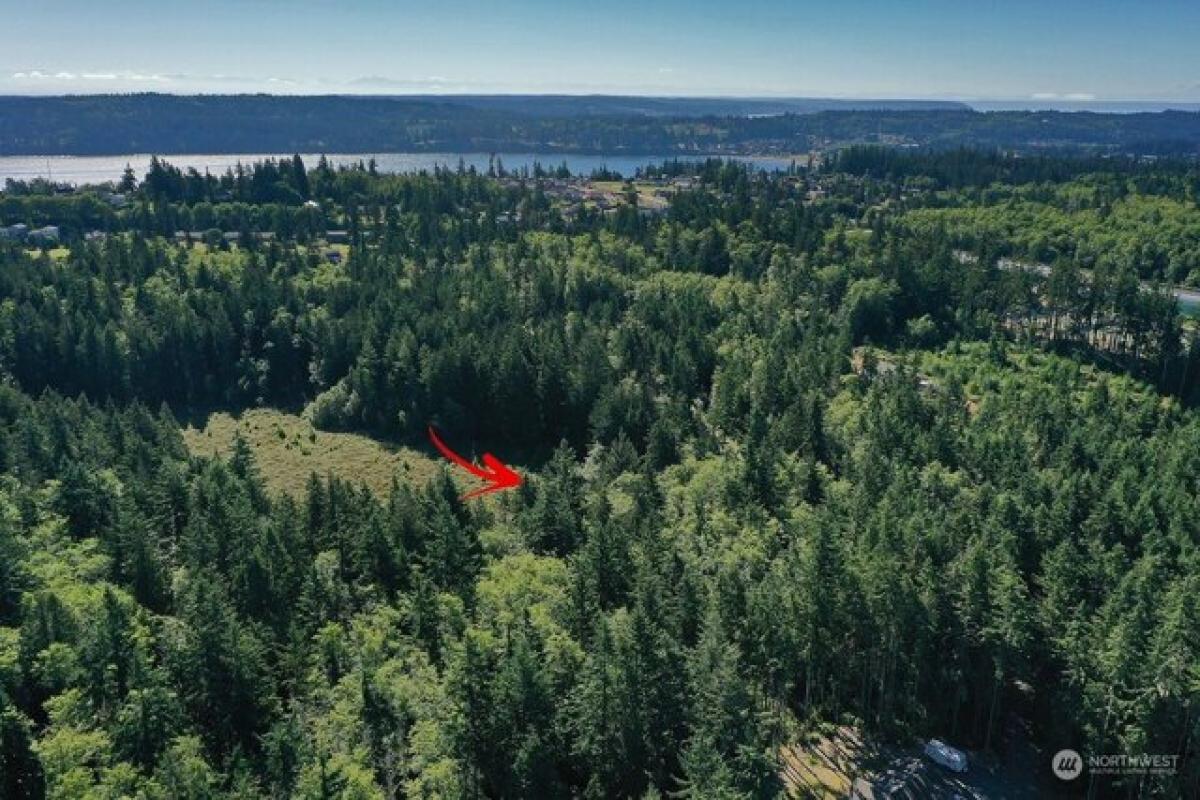 Picture of Residential Land For Sale in Freeland, Washington, United States