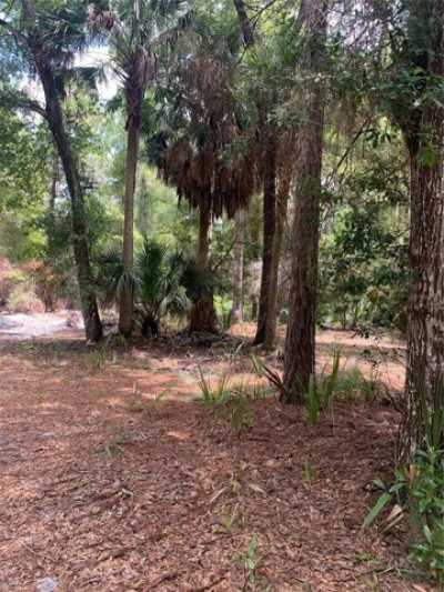 Residential Land For Sale in Georgetown, Florida