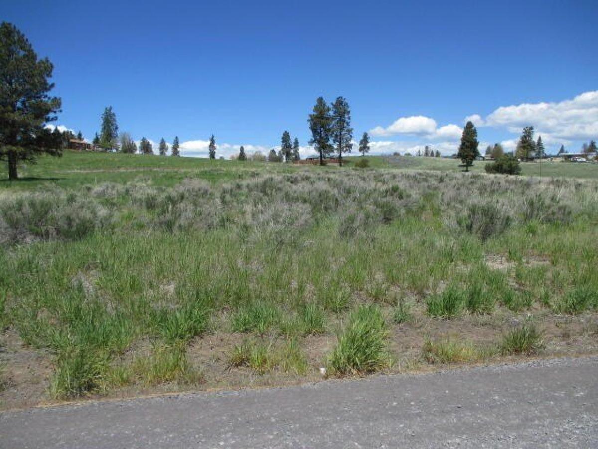 Picture of Residential Land For Sale in Chiloquin, Oregon, United States