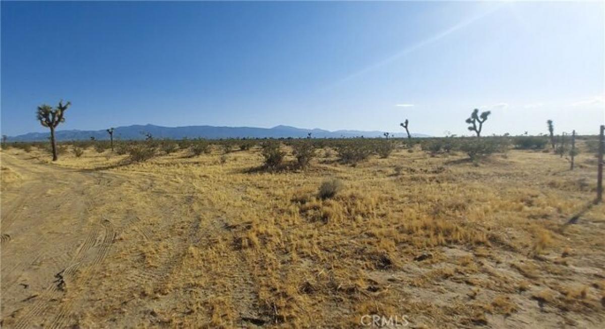 Picture of Residential Land For Sale in Phelan, California, United States