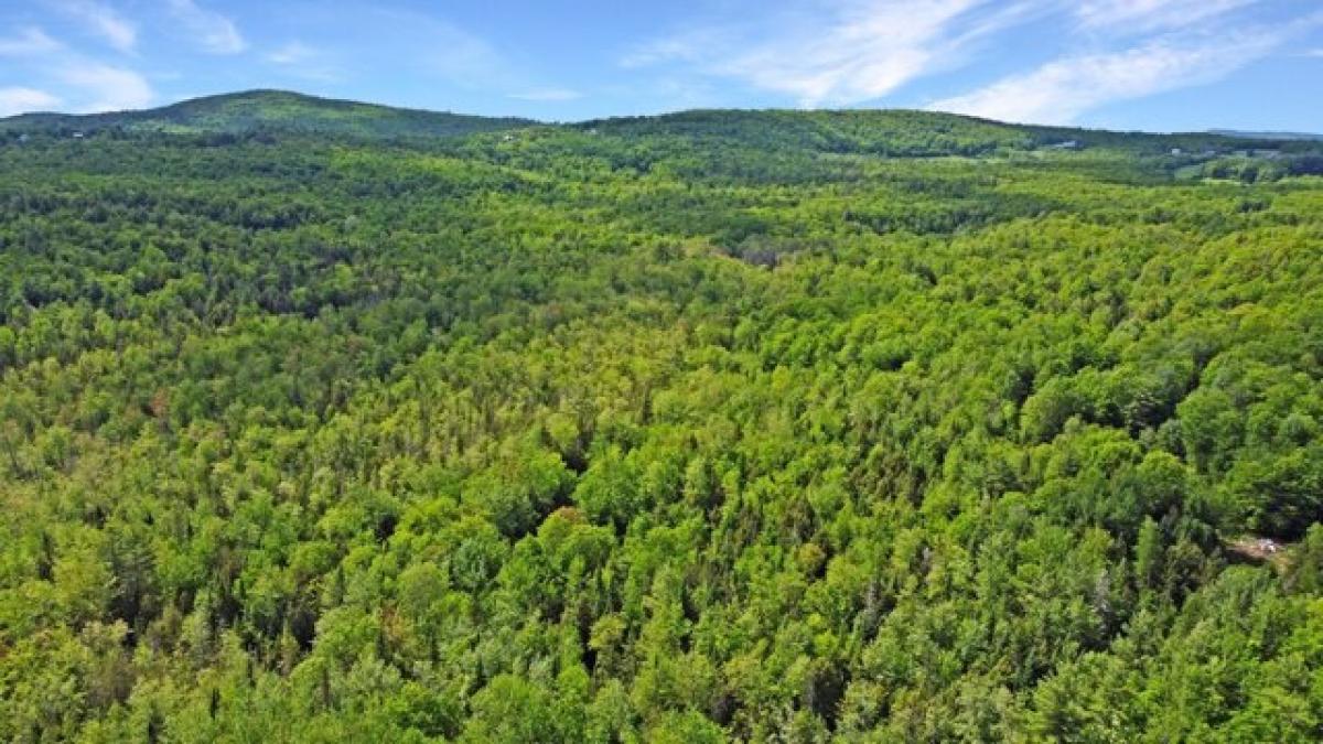 Picture of Residential Land For Sale in Livermore, Maine, United States