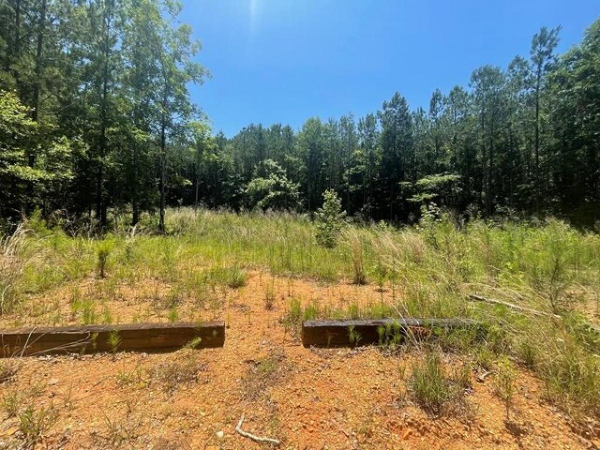 Picture of Residential Land For Sale in Troy, Alabama, United States