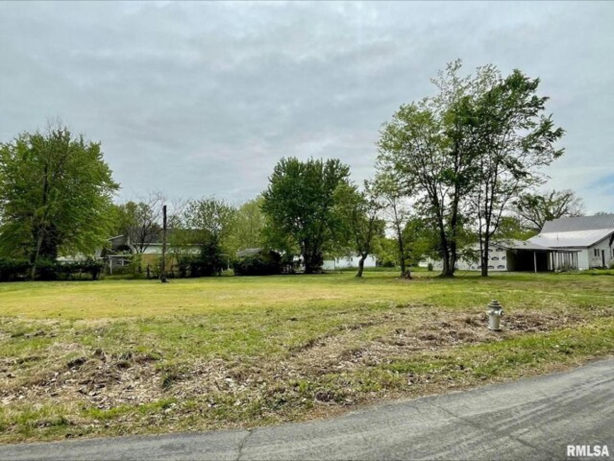 Picture of Residential Land For Rent in Metropolis, Illinois, United States