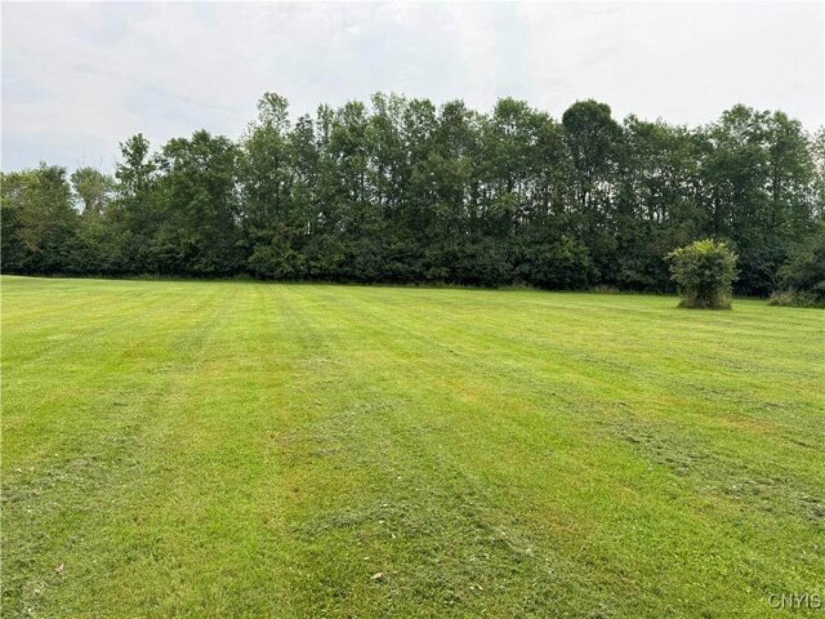 Picture of Residential Land For Sale in Adams, New York, United States