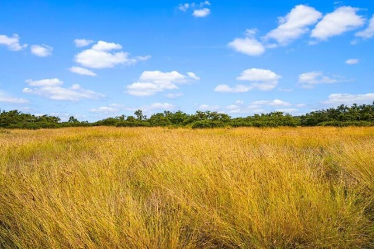 Picture of Residential Land For Sale in Harper, Texas, United States