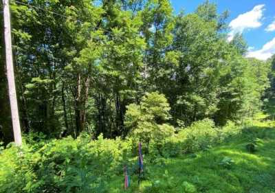 Residential Land For Sale in Elkton, Virginia