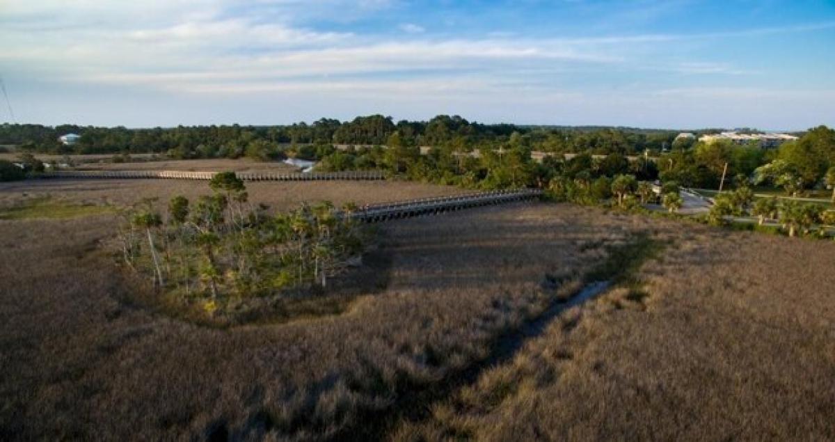 Picture of Residential Land For Sale in Crawfordville, Florida, United States