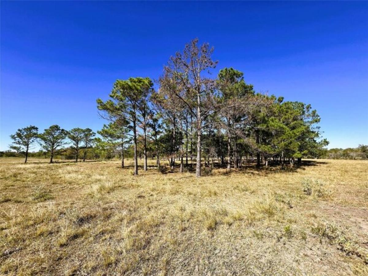 Picture of Residential Land For Sale in Anahuac, Texas, United States