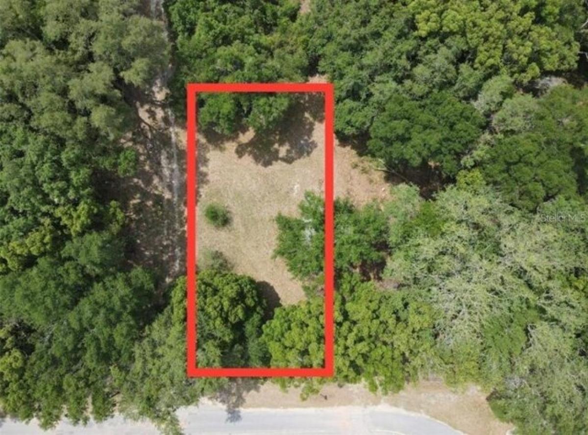 Picture of Residential Land For Sale in Ocklawaha, Florida, United States