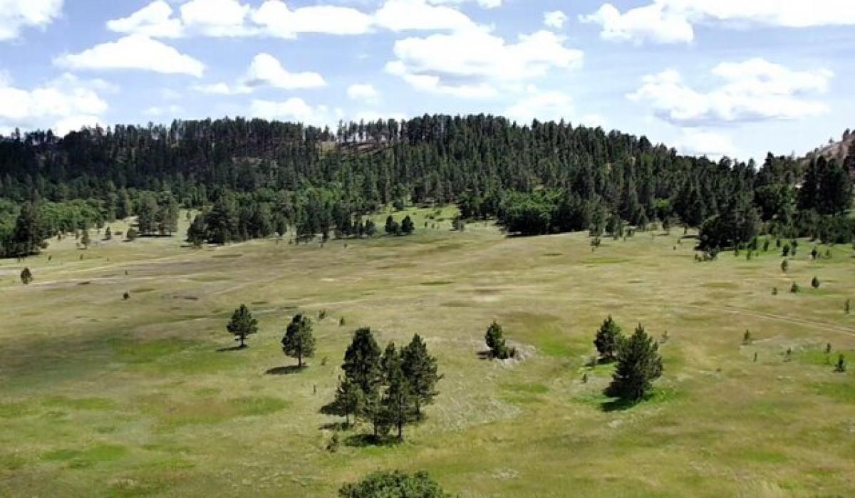 Picture of Residential Land For Sale in Hulett, Wyoming, United States