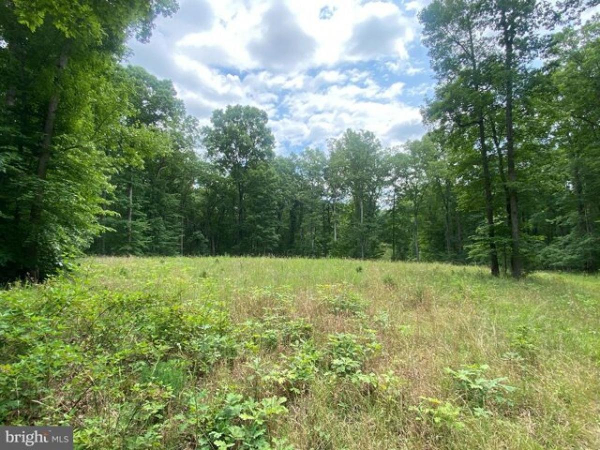 Picture of Residential Land For Sale in Orange, Virginia, United States