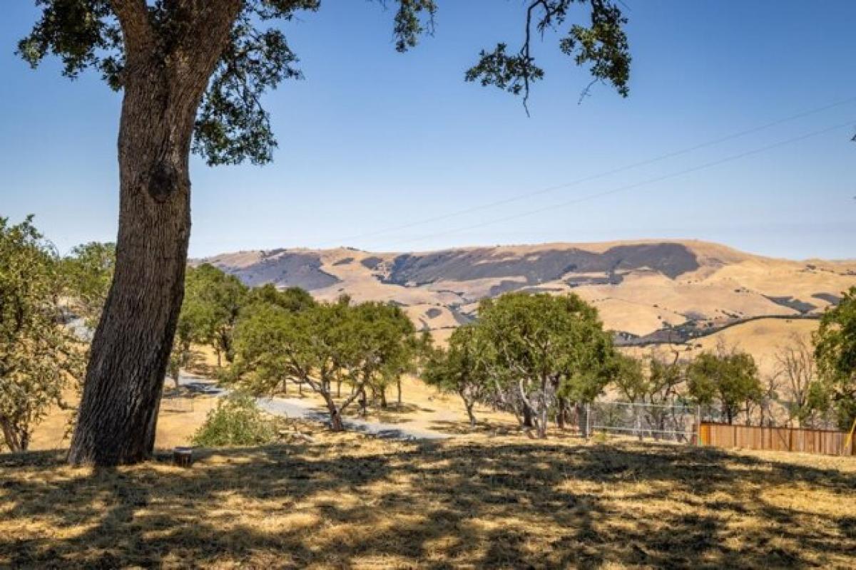 Picture of Residential Land For Sale in Carmel Valley, California, United States