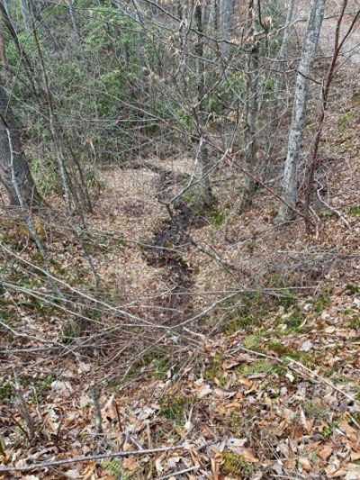 Residential Land For Sale in Sylva, North Carolina