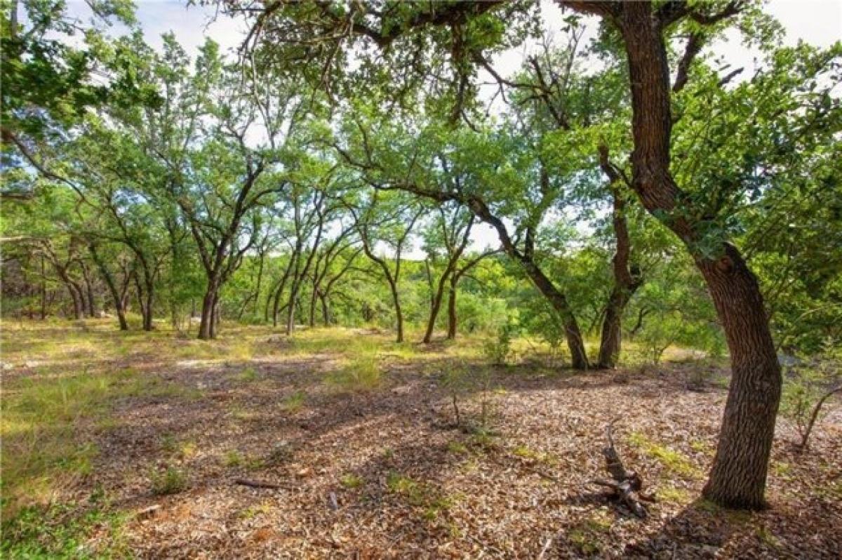 Picture of Residential Land For Sale in Dripping Springs, Texas, United States