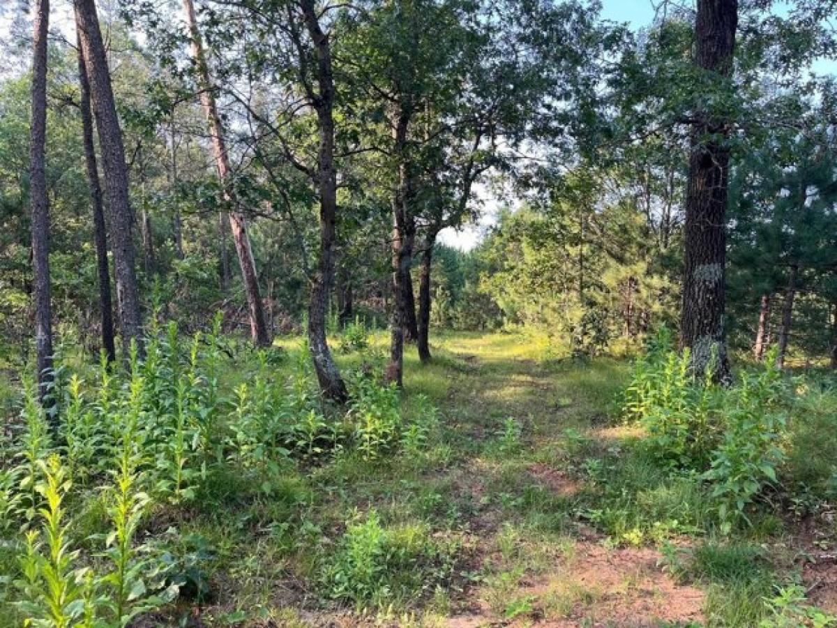 Picture of Residential Land For Sale in Nekoosa, Wisconsin, United States