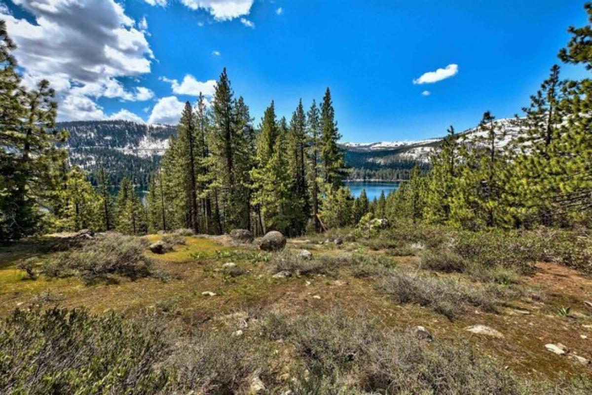 Picture of Residential Land For Sale in Truckee, California, United States