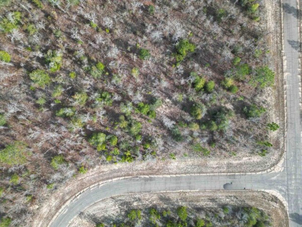 Picture of Residential Land For Sale in Chipley, Florida, United States