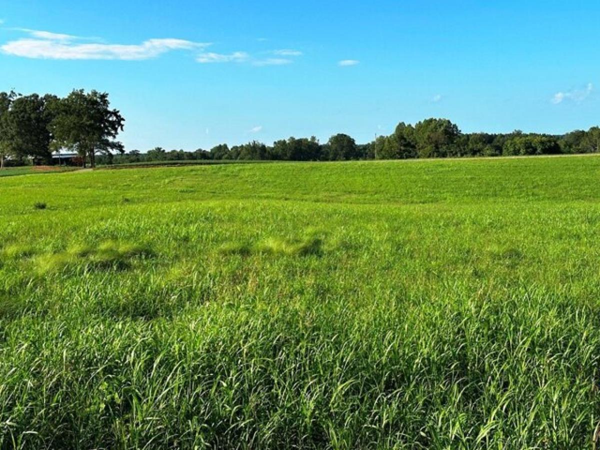 Picture of Residential Land For Sale in Alton, Virginia, United States