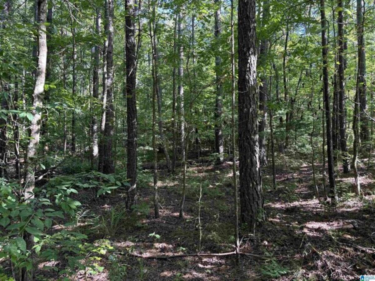 Picture of Residential Land For Sale in Sylacauga, Alabama, United States