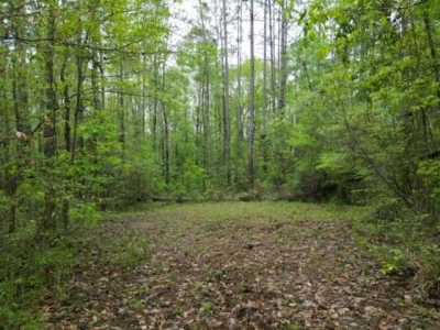 Residential Land For Sale in Havana, Florida